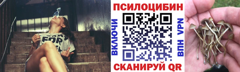 Купить  Гагарин  Галлюциногенные грибы Psilocybe 